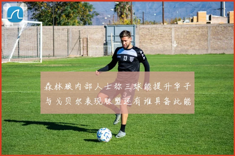 森林狼内部人士称三球能提升华子与戈贝尔表现联盟还有谁具备此能力